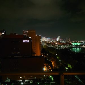 部屋から見た夜の山下公園と港と海（夜景）