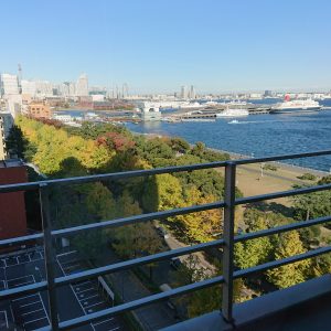 部屋から見た山下公園と港と海