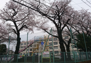 練馬区立大泉学園小学校の外観