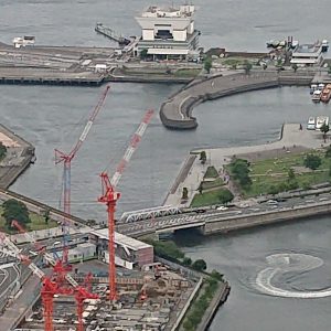 象の鼻