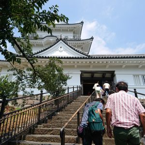 階段を登っていざ天守閣へ