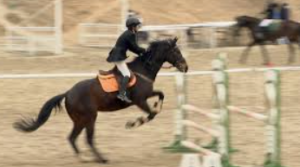 青山学院高等部の馬術部時代を彷彿とさせる、馬に乗って障害物を飛び越える馬術競技の様子