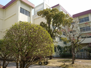 鹿児島県立明桜館高等学校の外観