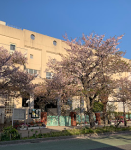 神戸市立灘小学校の外観
